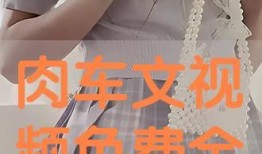 全肉视频在线观看,在线观看美食视频，尽享视觉与味蕾的双重盛宴